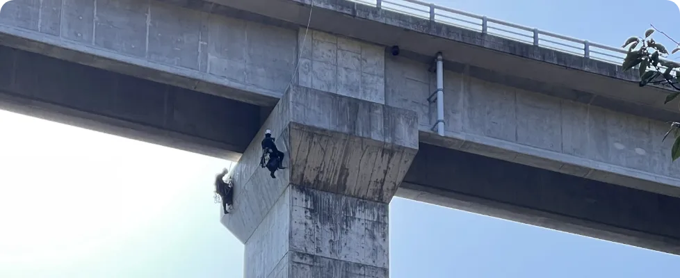 橋梁関連業務